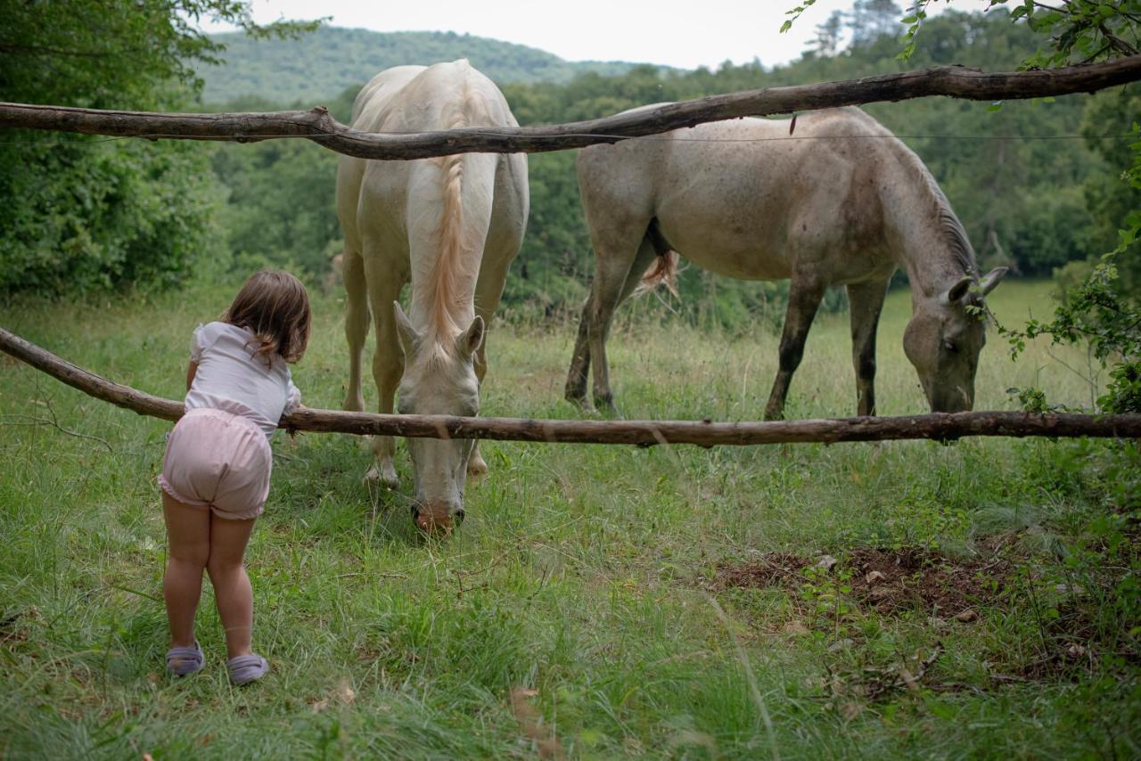 Tmbin'S Barn - Nature, Horses, Family Сежана Екстериор снимка