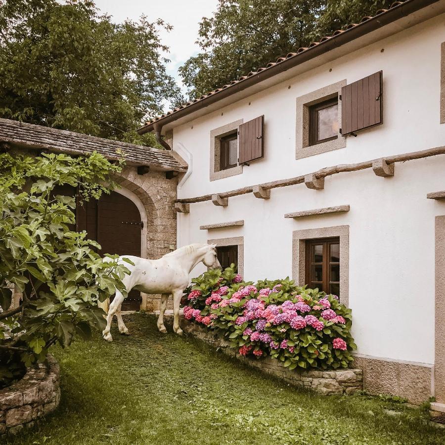 Tmbin'S Barn - Nature, Horses, Family Сежана Екстериор снимка