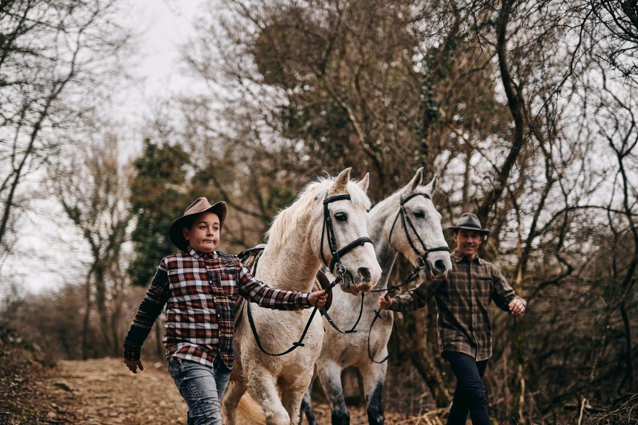 Tmbin'S Barn - Nature, Horses, Family Сежана Екстериор снимка