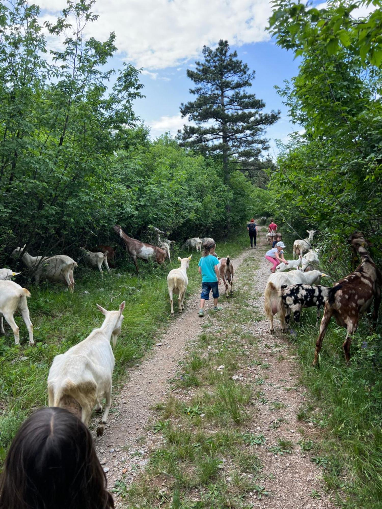 Tmbin'S Barn - Nature, Horses, Family Сежана Екстериор снимка